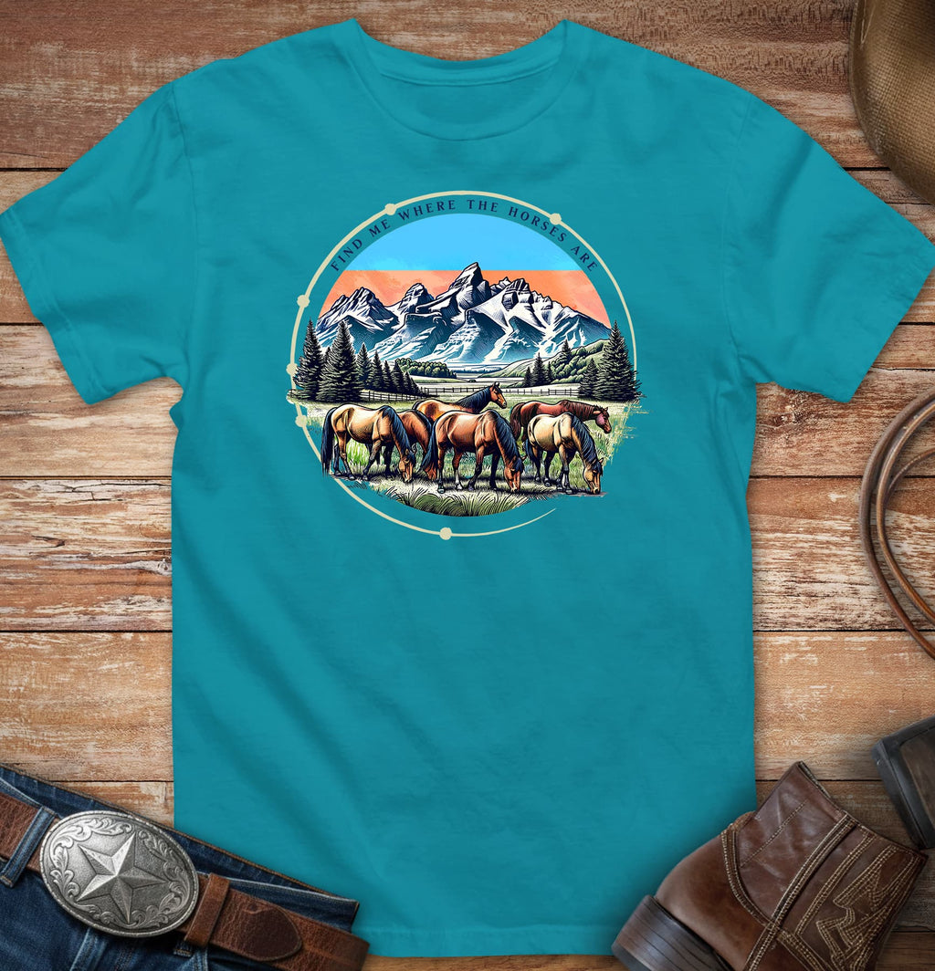 Find me where the horses are