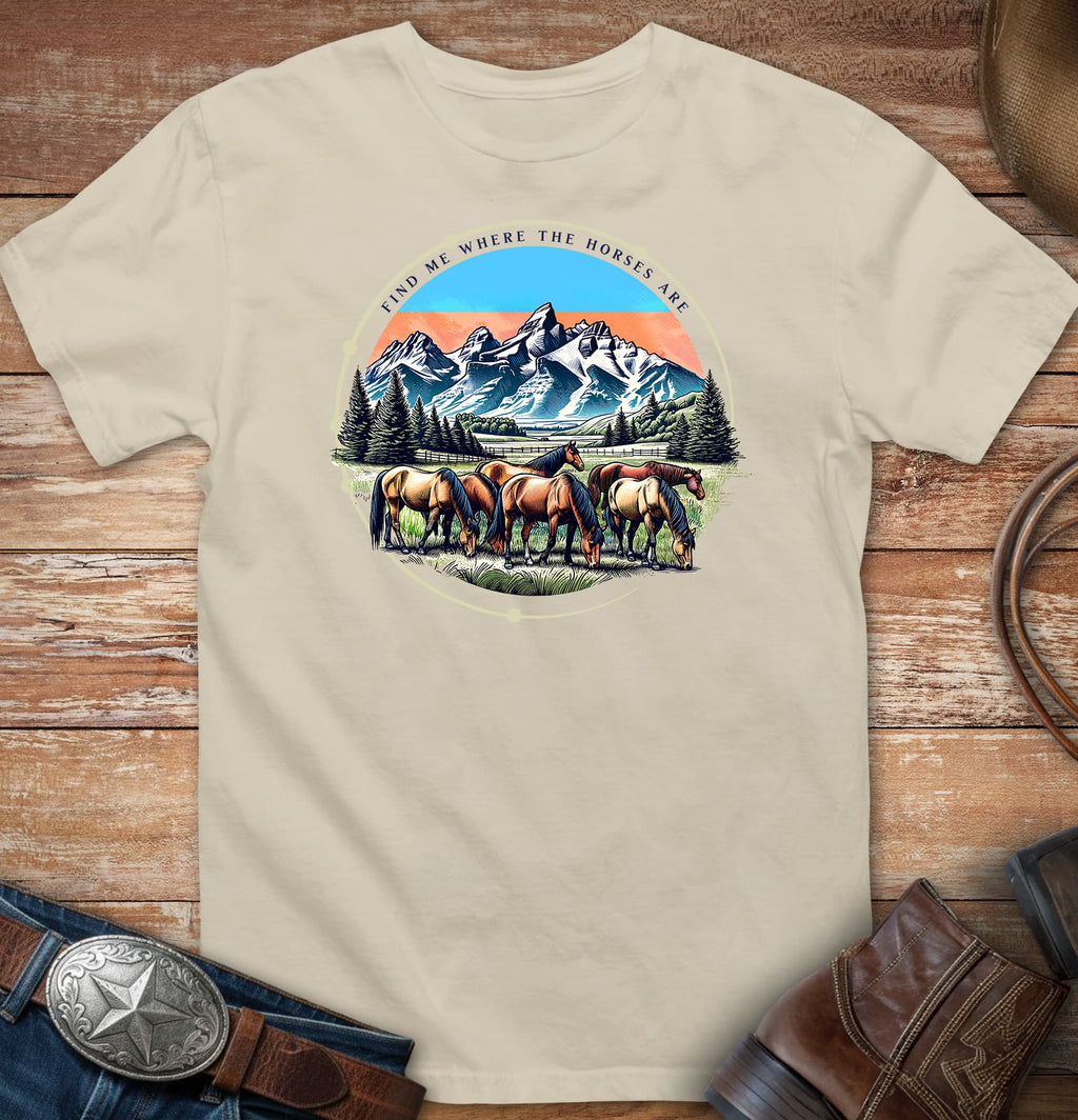 Find me where the horses are