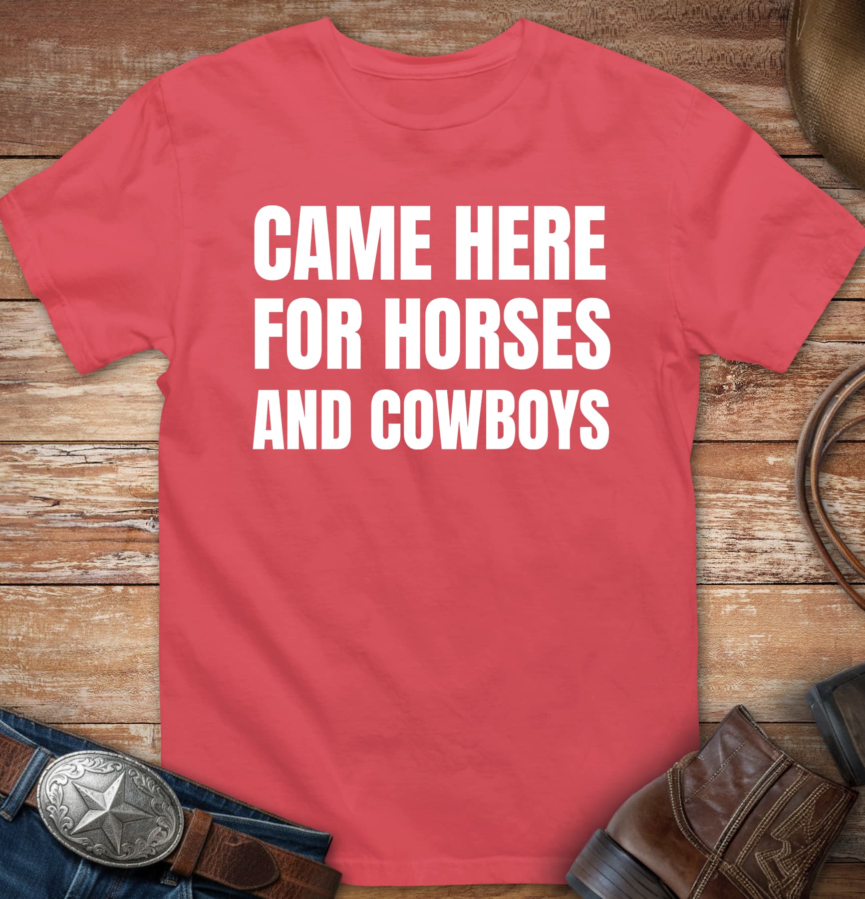 Came here for horses and cowboys