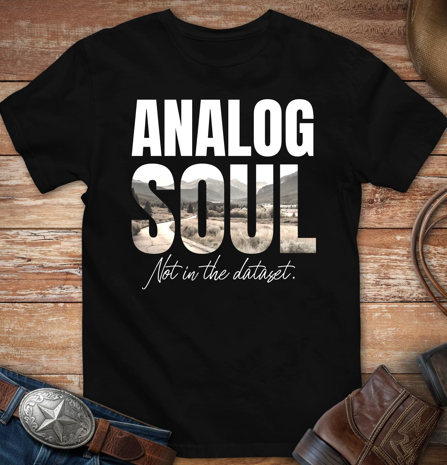 Analog Soul - Not in the Dataset