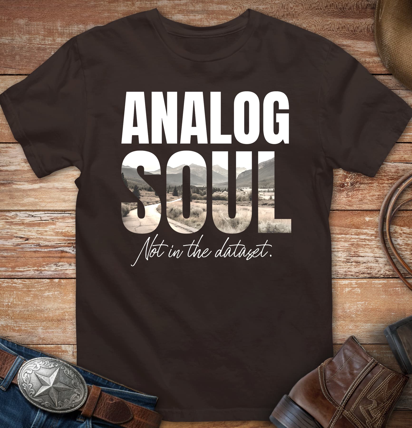 Analog Soul - Not in the Dataset